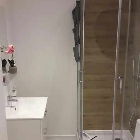 Apartament Zeromskiego דירה *
